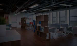 RAISED-ACCESS-FLOORS